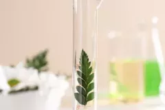 adobestock-254556779